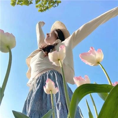 藏海花之暗巢汹涌