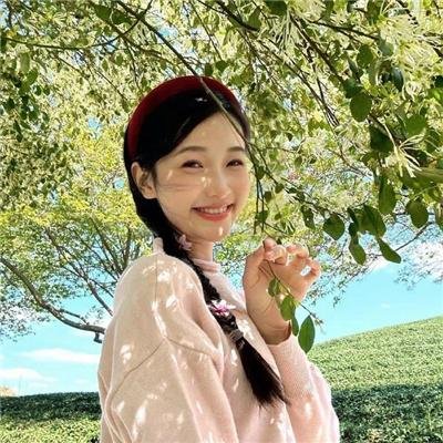 狗狗的旅程